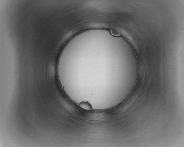 X0000110740063200906290956