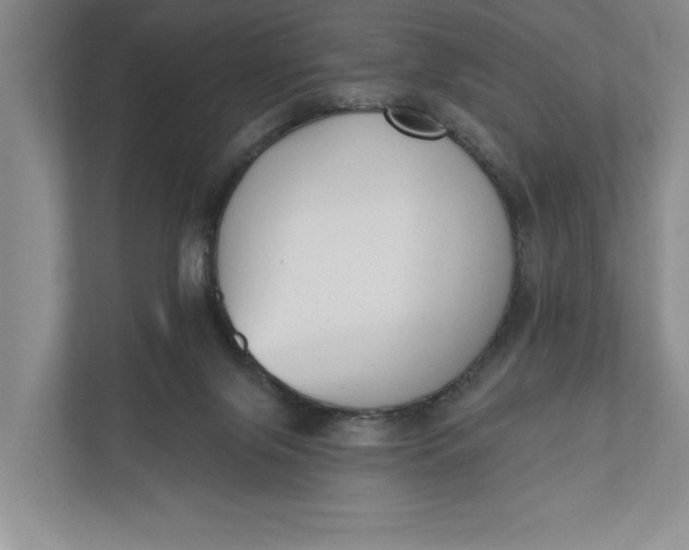 X0000110740071200906290956