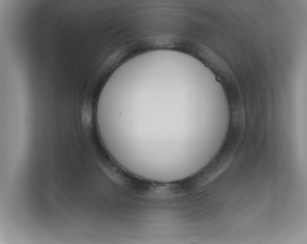 X0000110740072200906290956