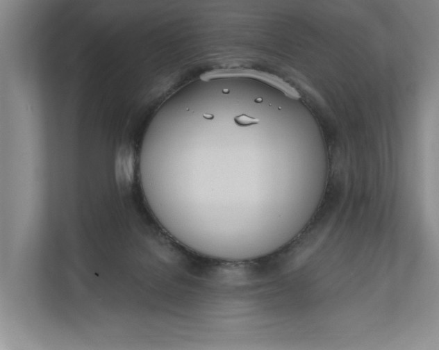 X0000110740076200906290956