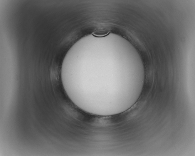 X0000110740078200906290956