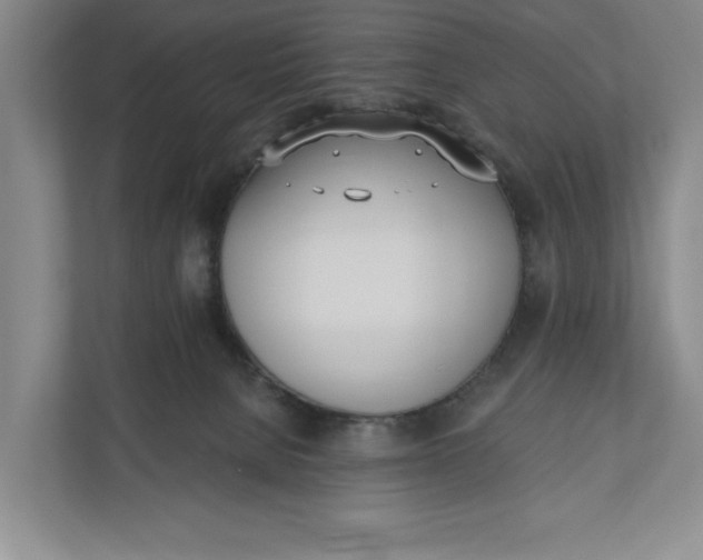 X0000110740080200906290956