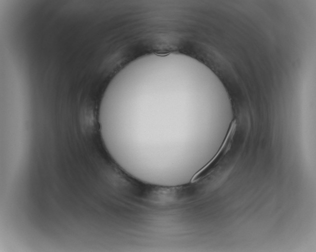 X0000110740084200906290956