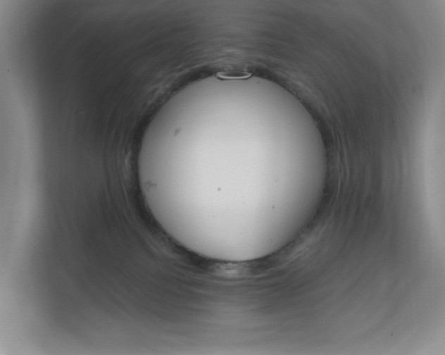 X0000110740088200906290956