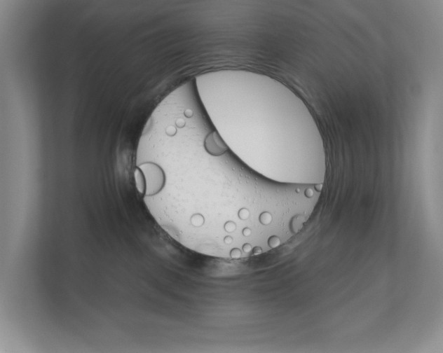 X0000110740093200906290957