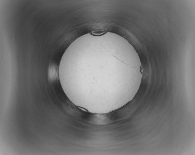 X0000110740095200906290957