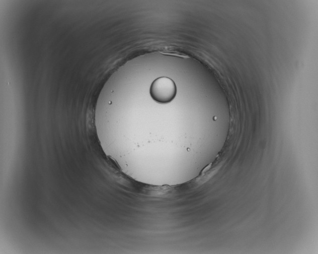 X0000110740096200906290957