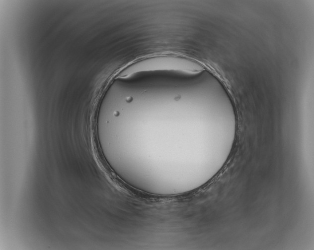 X0000110740097200906290956