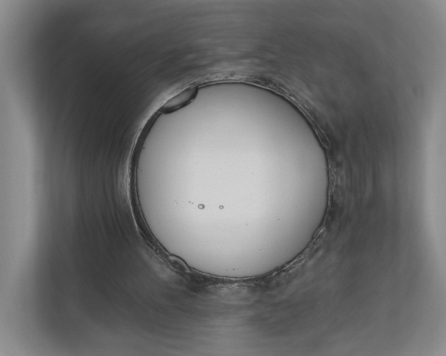 X0000110740100200906290956