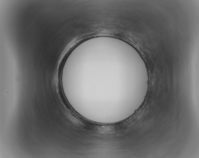 X0000110740102200906290956