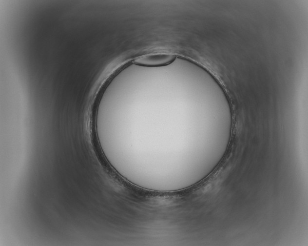 X0000110740103200906290956