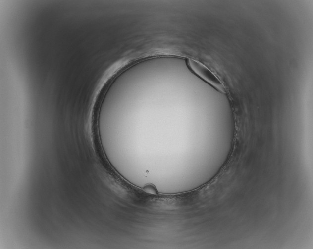 X0000110740104200906290956