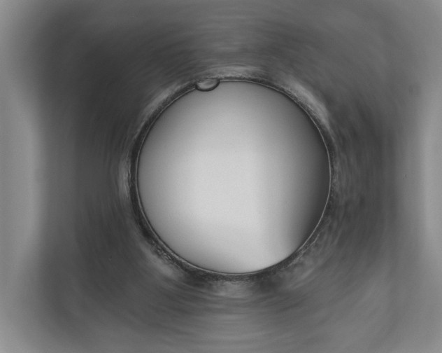 X0000110740107200906290956