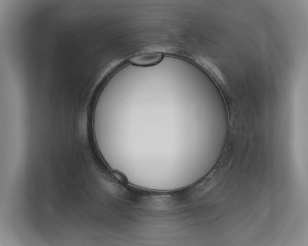 X0000110740108200906290956