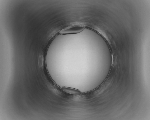 X0000110740109200906290956