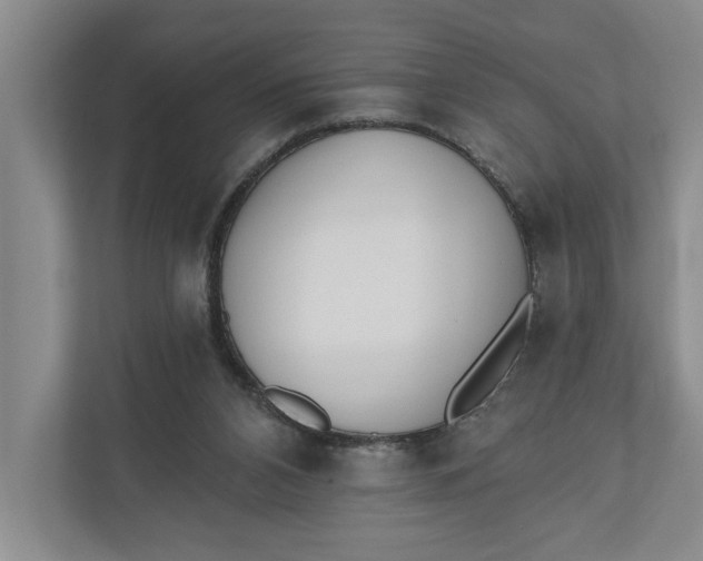 X0000110740112200906290956