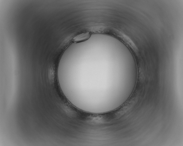 X0000110740113200906290956