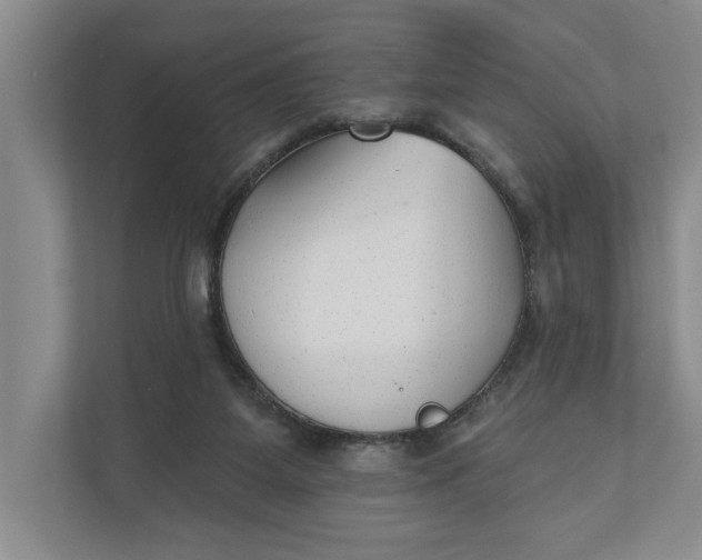 X0000110740115200906290956