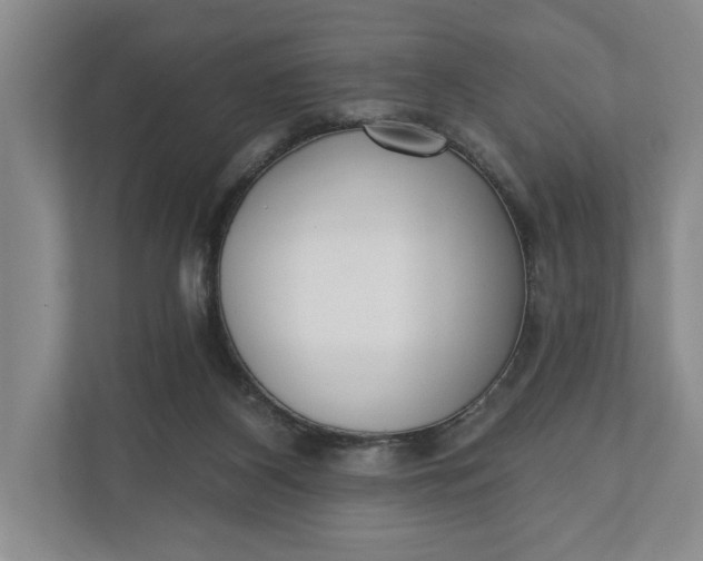 X0000110740116200906290956