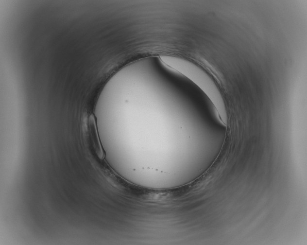 X0000110740117200906290956