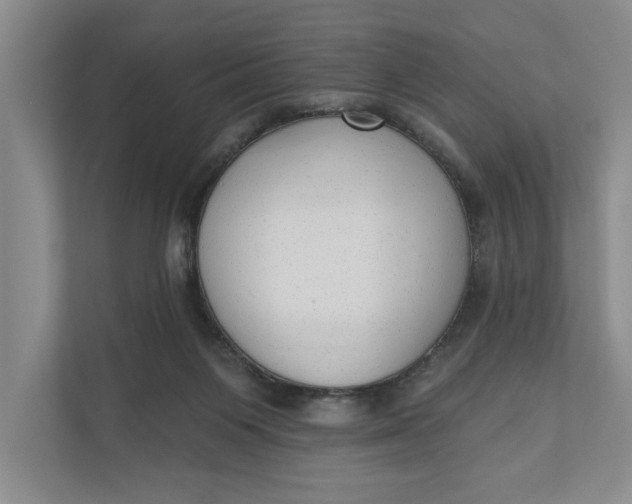 X0000110740119200906290956