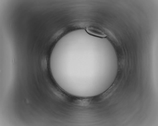 X0000110740120200906290956