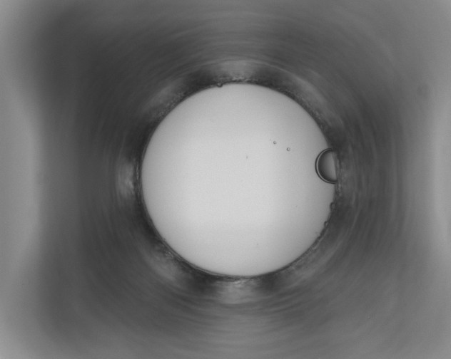 X0000110740122200906290956