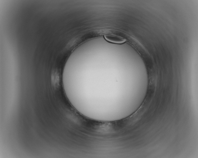 X0000110740124200906290956