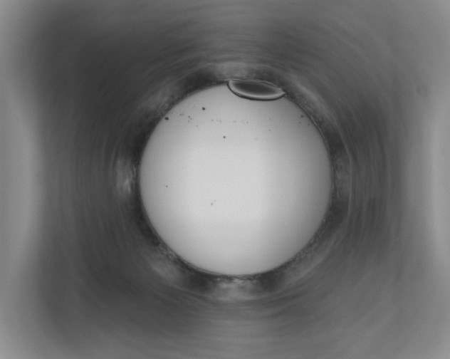 X0000110740125200906290956