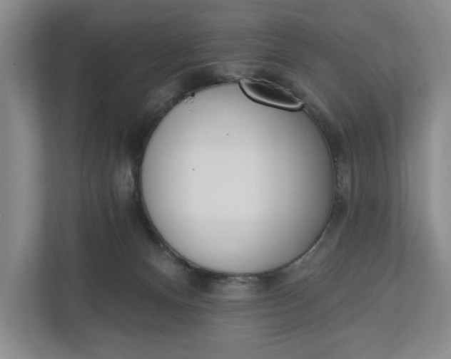 X0000110740128200906290956