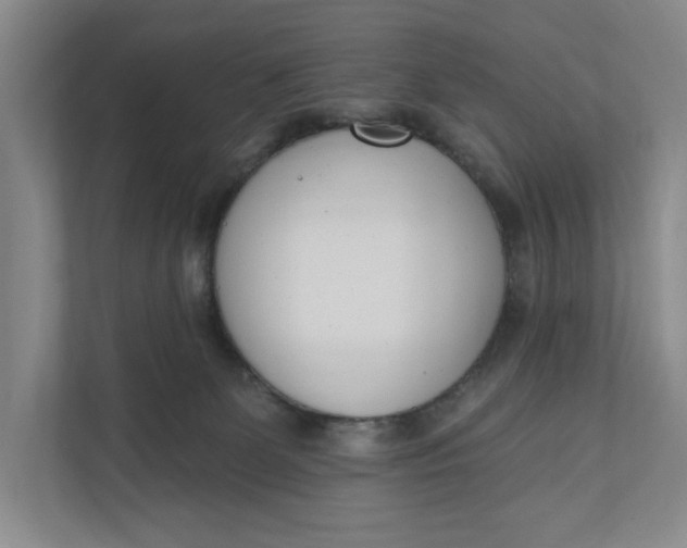 X0000110740131200906290955