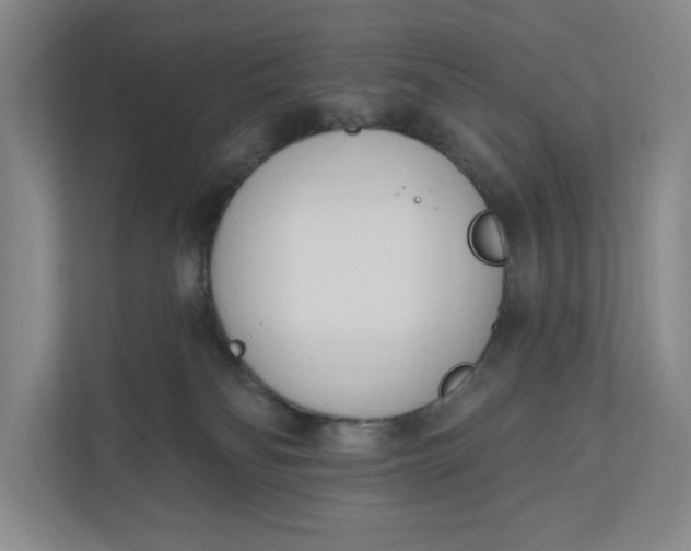 X0000110740134200906290955