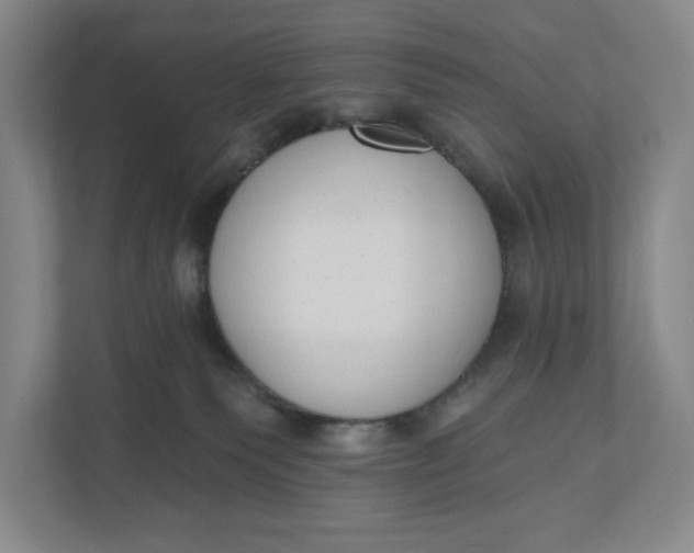 X0000110740135200906290955