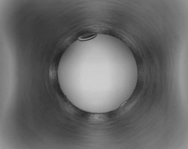 X0000110740137200906290955