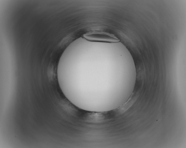 X0000110740140200906290955