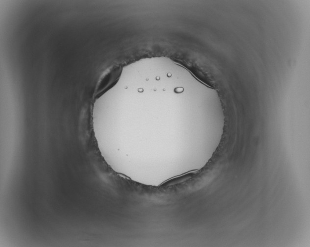 X0000110740144200906290955