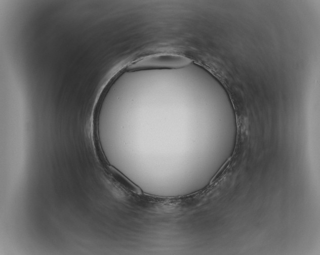 X0000110740148200906290955