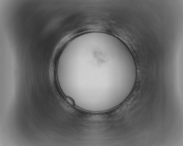 X0000110740149200906290955