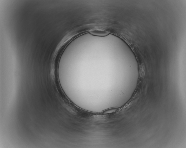 X0000110740150200906290955