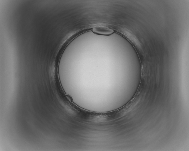 X0000110740156200906290955