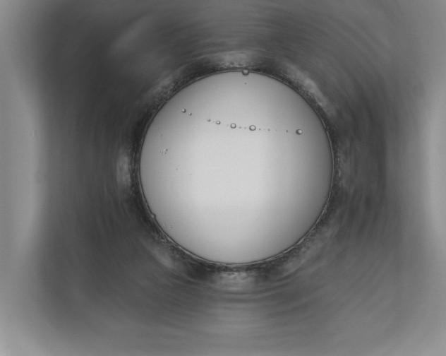 X0000110740161200906290955