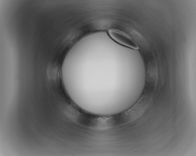 X0000110740172200906290955