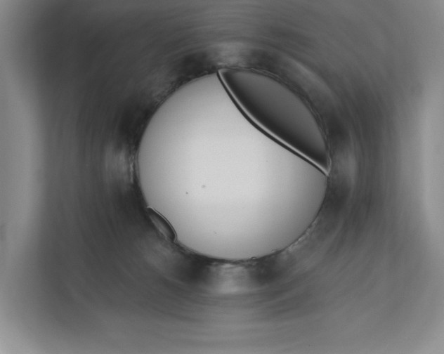 X0000110740180200906290955