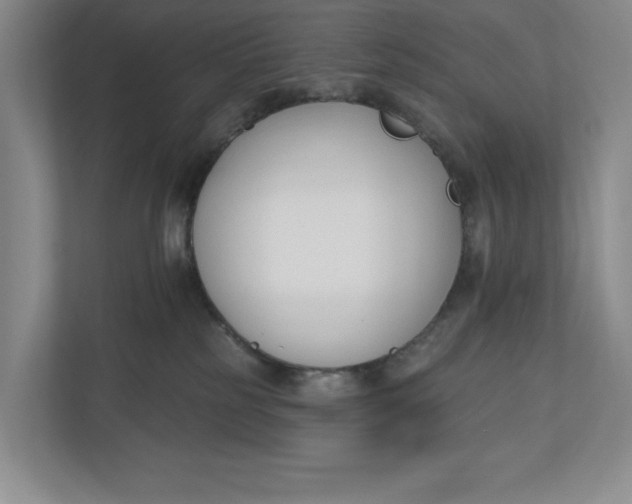 X0000110740185200906290955