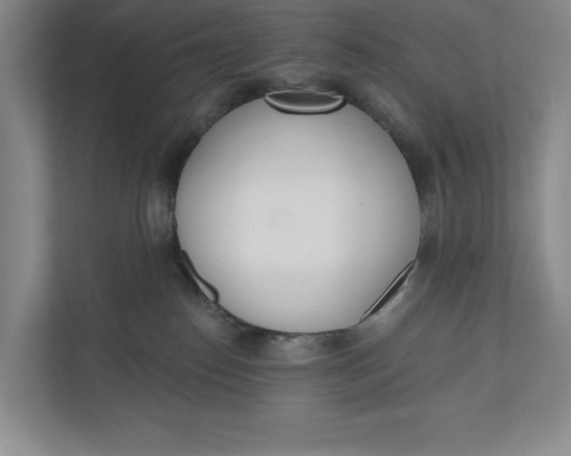 X0000110740186200906290955