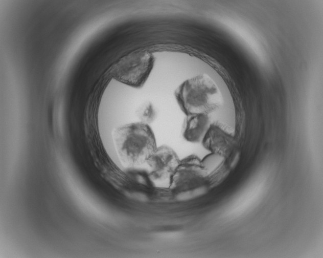 X0000110740189200906290955