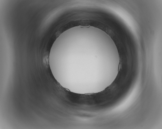 X0000110740190200906290955