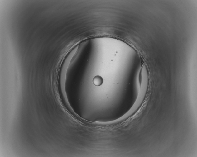 X0000110740193200906290955