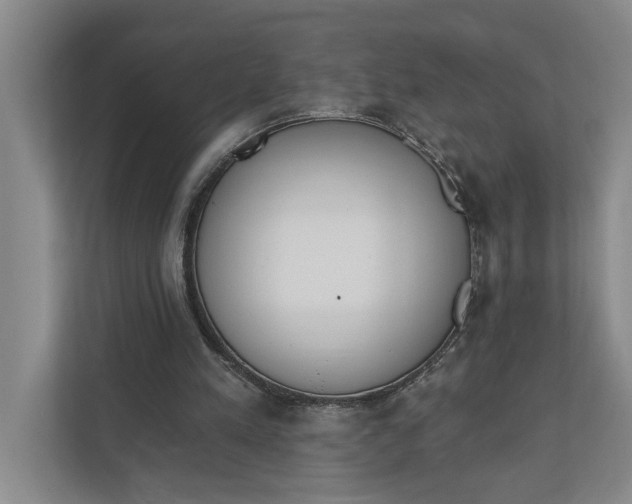 X0000110740197200906290955