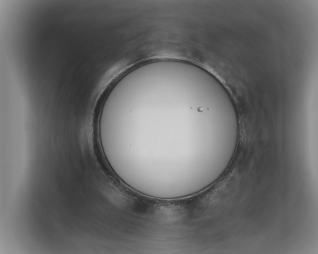 X0000110740199200906290955